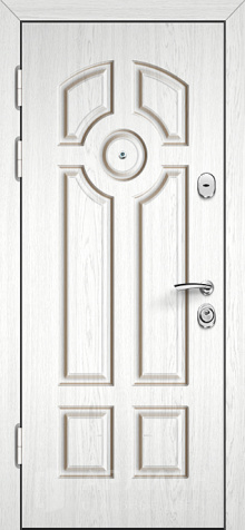 Фото №2 «Дверь с МДФ №189»